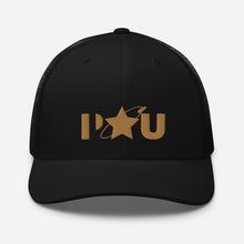 Load image into Gallery viewer, PU Star - Retro gold Cap
